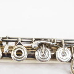 Brass | Strings | Woodwind - ZeereeZ