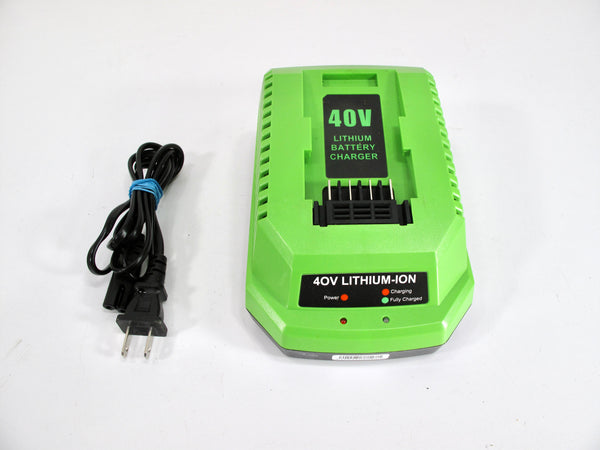 Powilling Replacement Charger Compatible with Greenworks 40V Battery