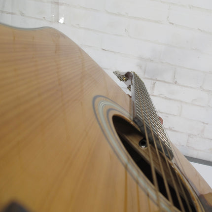 Recording King RD-T16 Torrefied Adirondack Dreadnought Acoustic Guitar