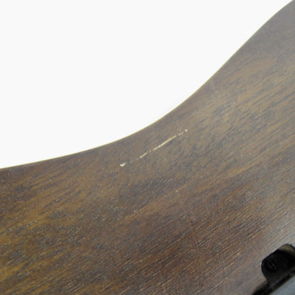 Ibanez RGIR20BFE Walnut Iron Label Electric Guitar w/ EMG
