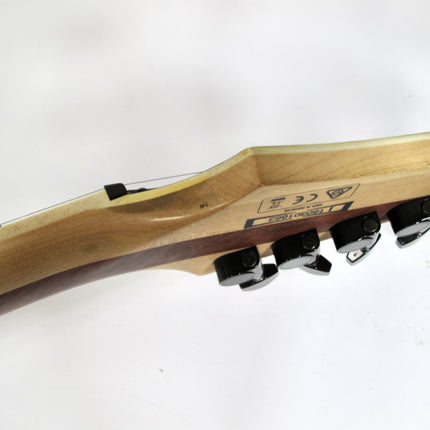 Ibanez RGIR20BFE Walnut Iron Label Electric Guitar w/ EMG