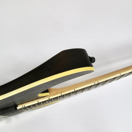 Ibanez RGIR20BFE Walnut Iron Label Electric Guitar w/ EMG