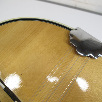 Dionoisios Matsikas & Sons Sakis Hand Made In Greece 6 String Bouzouki