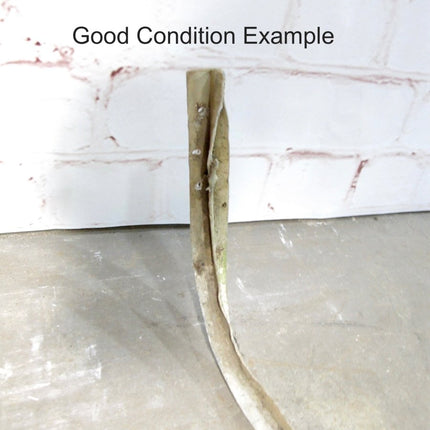Airstream Single Piece Curved Wrap Under Wheel Well Trim Molding Mid 70s - 80s - ZeereeZ
