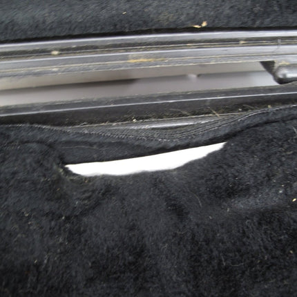 Bach Hard Plastic Molded Trumpet Instrument Case - ZeereeZ