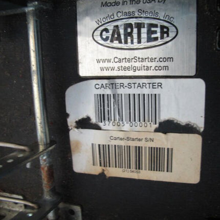 Carter Starter 10 String Steel Guitar 3 Pedal, 4 Lever Black 3x4 - ZeereeZ