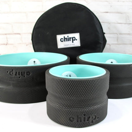 Chirp Wheel+ Back & Muscle Pain 3 Pk 6", 10", 12" Yoga Wheel Set - ZeereeZ