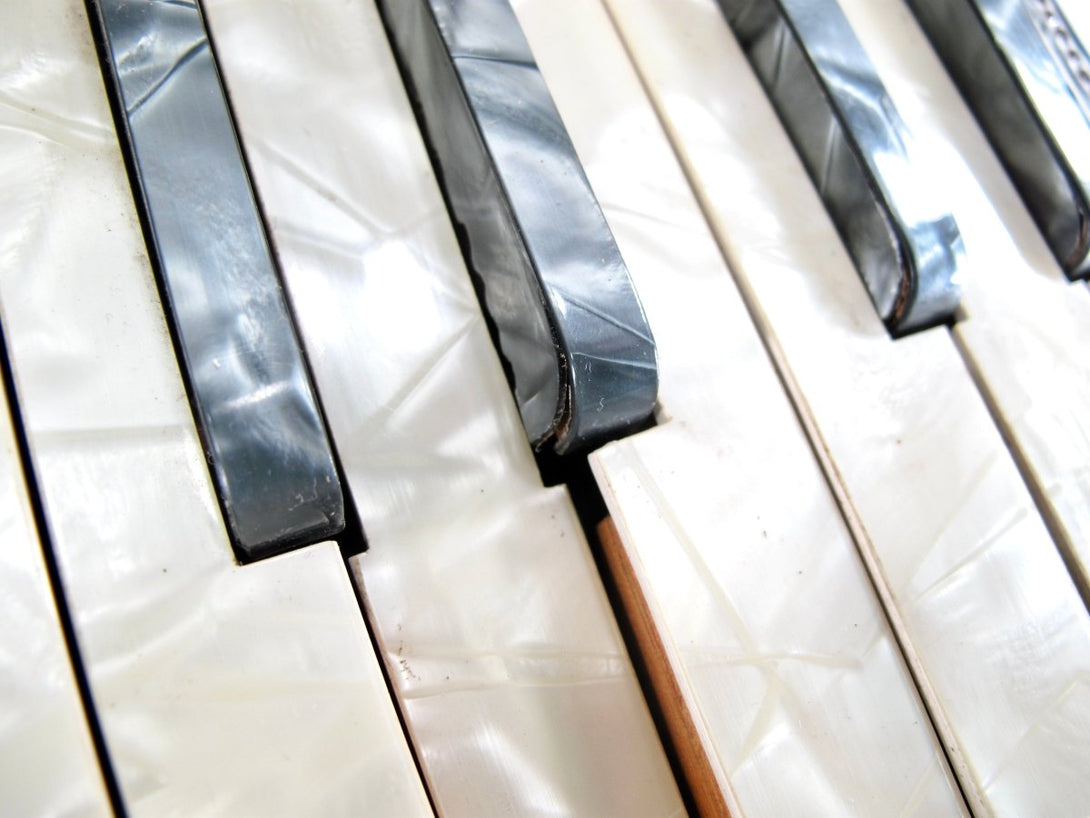 Italo American Gloria Deluxe Vintage 120 Bass Accordion - ZeereeZ