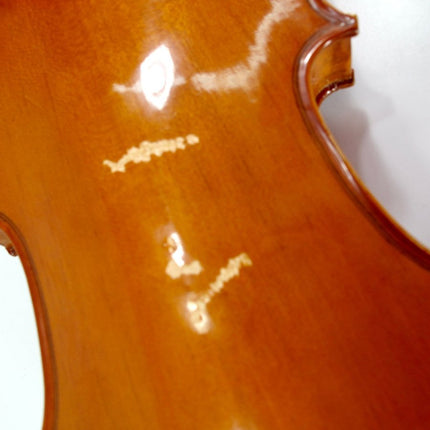 Lark M5010 4/4 Full Size Student Model Violin - ZeereeZ