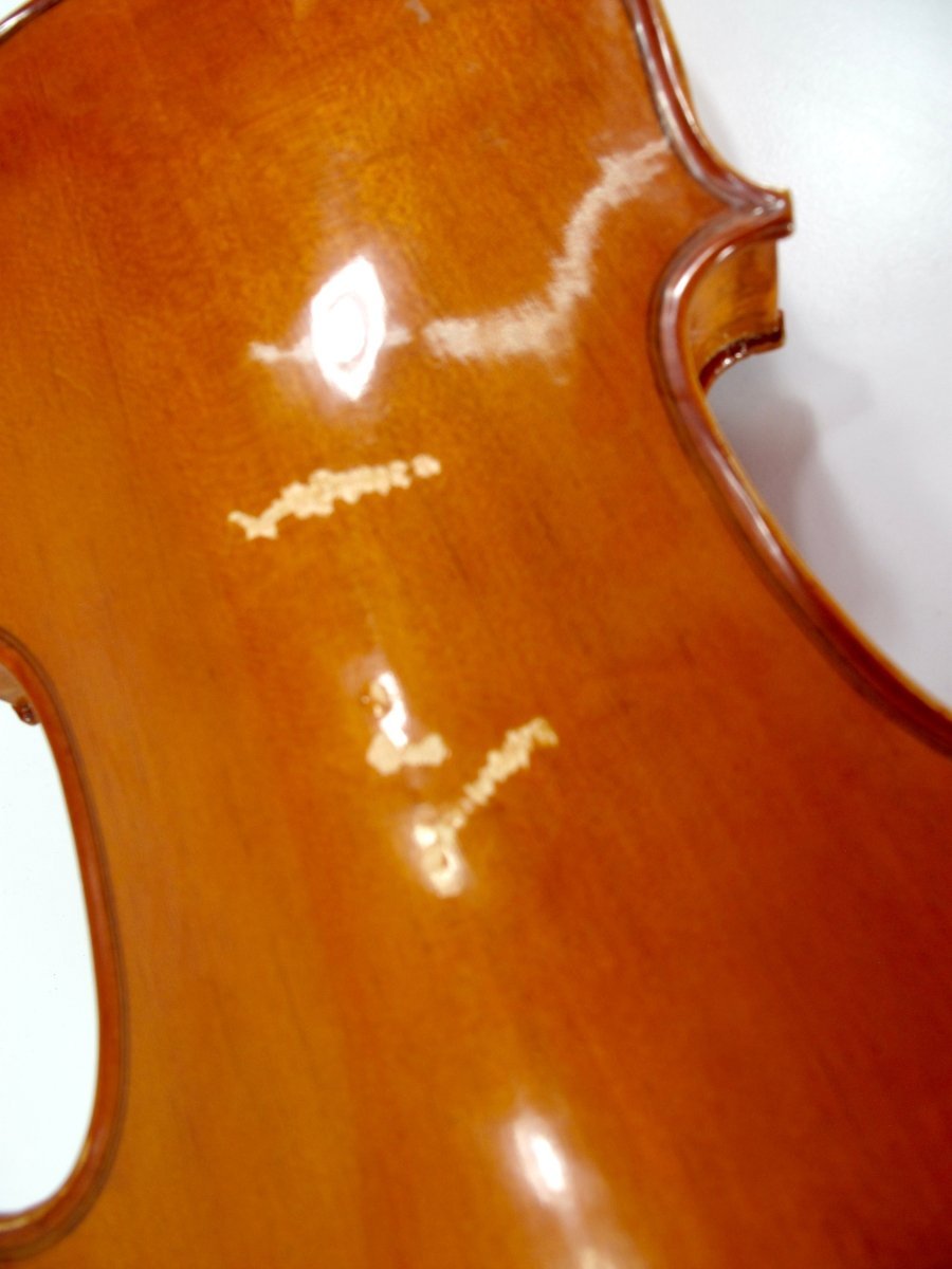 Lark M5010 4/4 Full Size Student Model Violin - ZeereeZ