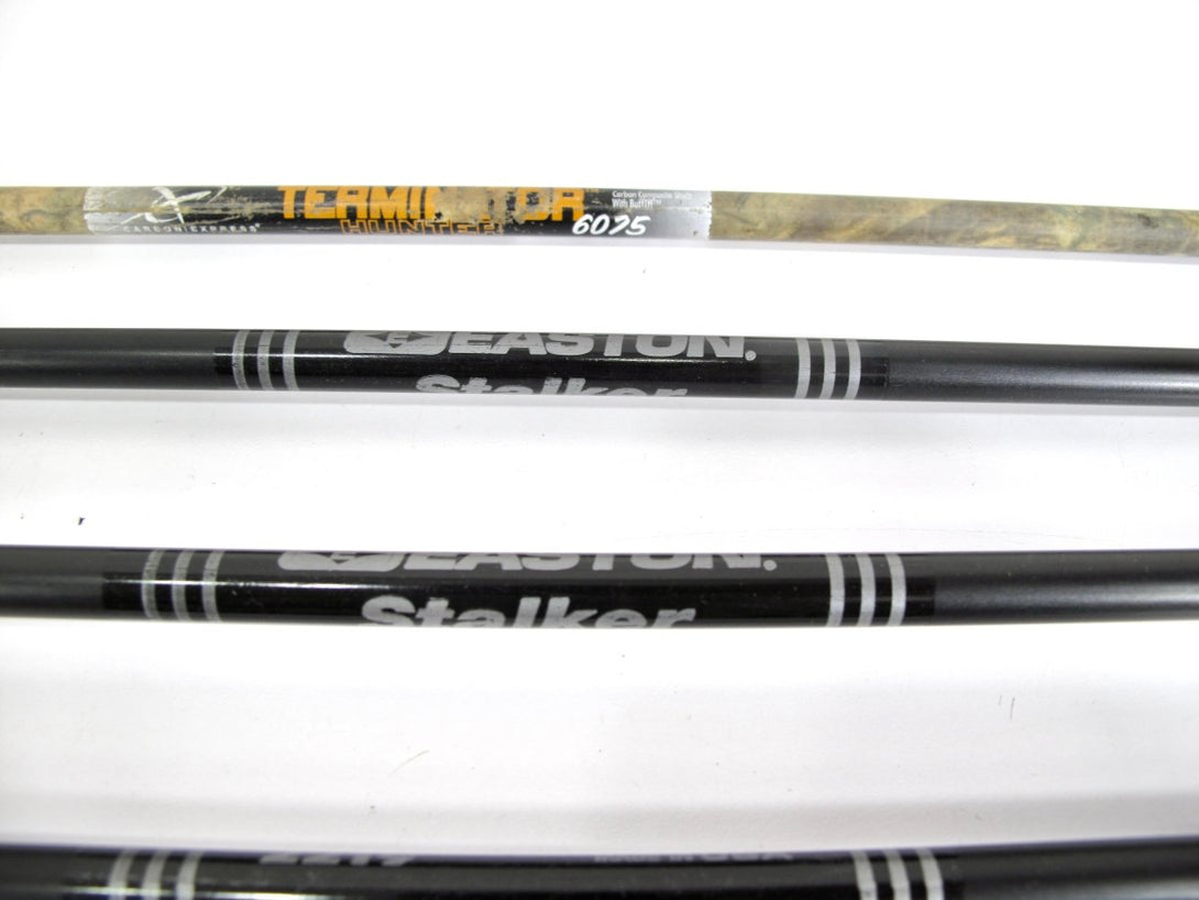 Lot of 12 Terminator, Bloodsport, Easton, Mossy Oak Arrows 27 - 31" w/ Points - ZeereeZ