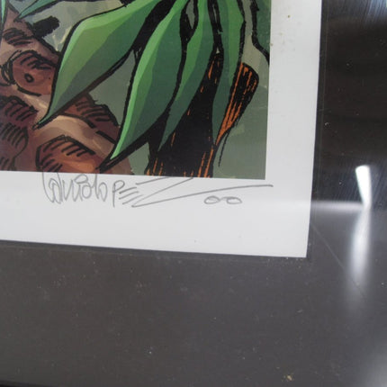 Wonder Woman Vs. Cheetah Jose Garcia Lopez Signed Lithograph 73/250 - ZeereeZ