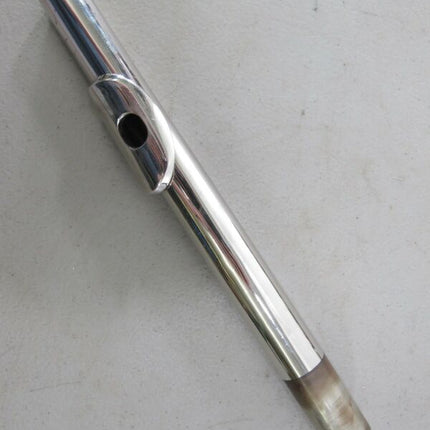 Palatino WI-806-FS 16 Key C Closed Hole Flute w/ Case - Zeereez