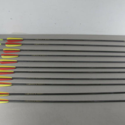 Terminator Game Winner Lof of 11 Arrow Shafts & Tips Hunting Arrows - Zeereez