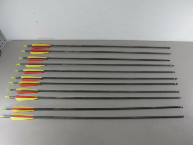 Terminator Game Winner Lof of 11 Arrow Shafts & Tips Hunting Arrows - Zeereez