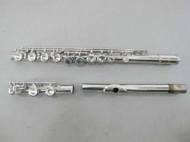 Palatino WI-806-FS 16 Key C Closed Hole Flute w/ Case - Zeereez