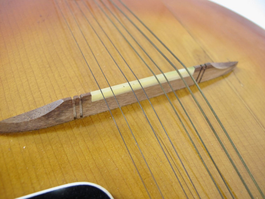 Sttromberg - Voisinet Kay 1920s Gibson Modified Mandolin - ZeereeZ