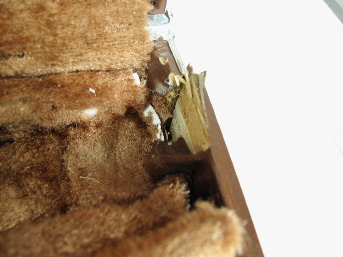 Yamaha YTS - 23 Student Model Tenor Saxophone w/ Mouthpiece - ZeereeZ